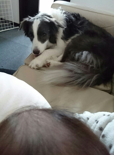 20160303001816361.jpg