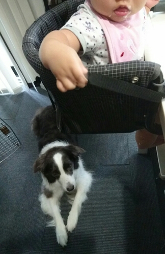 20160713094331149.jpg