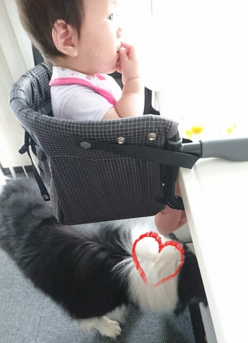 20160713094813687.jpg